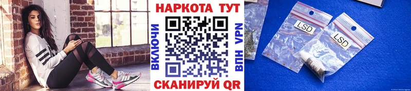МЕФ Зея